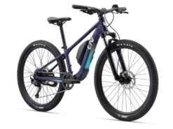 Liv Tempt E+ 26 10 Liv Tempt E+ 26 -Bike Accessories Sale 78583 liv tempt e 26