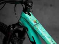 Dyedbro Enduro World Series Color Matt