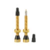 Tubolight Valves Pair Gold 2 Tubolight Valves Pair Gold -Bike Accessories Sale tubolight valves pair gold